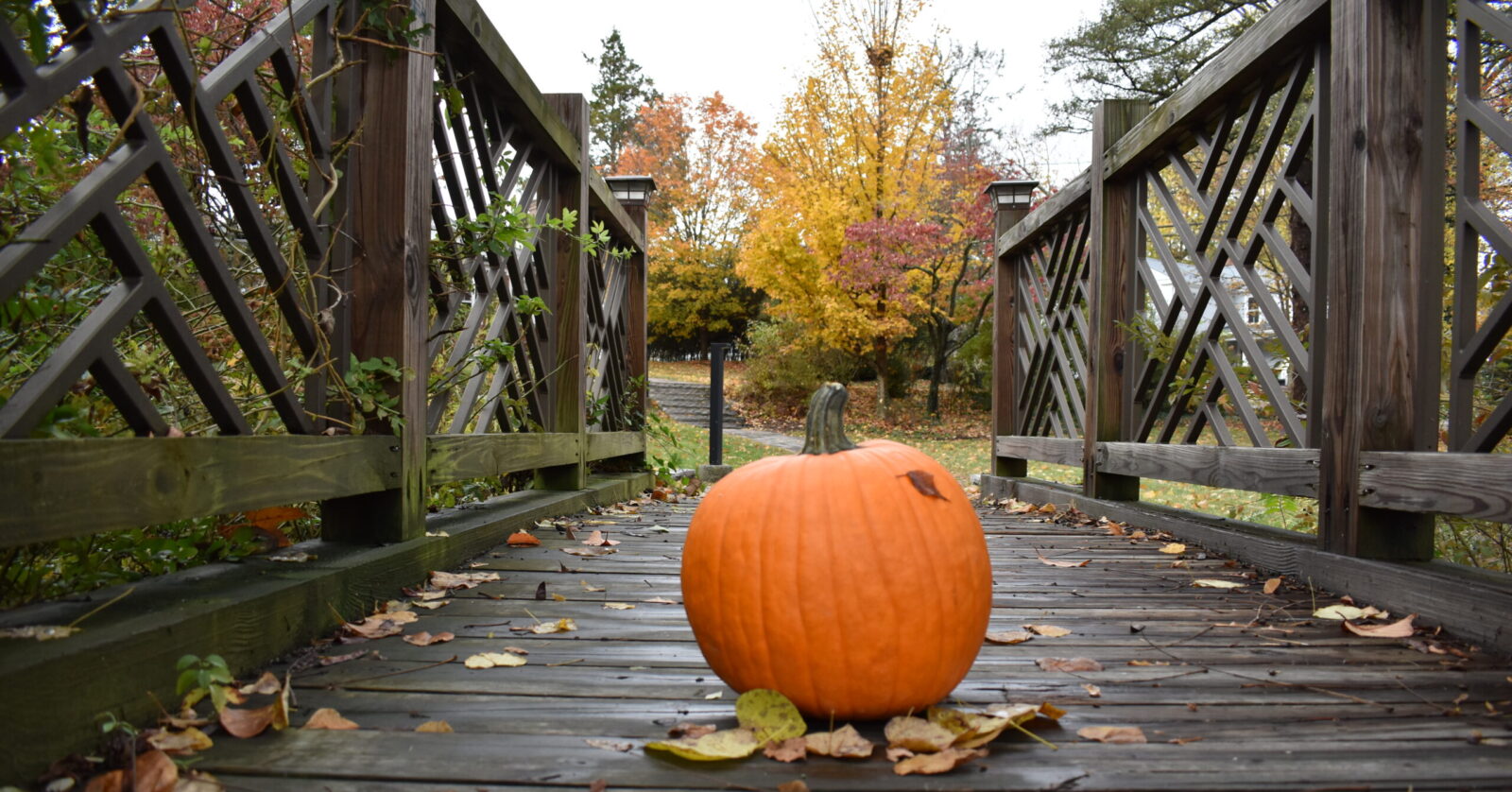 Blacksburg and Christiansburg Halloween events for you