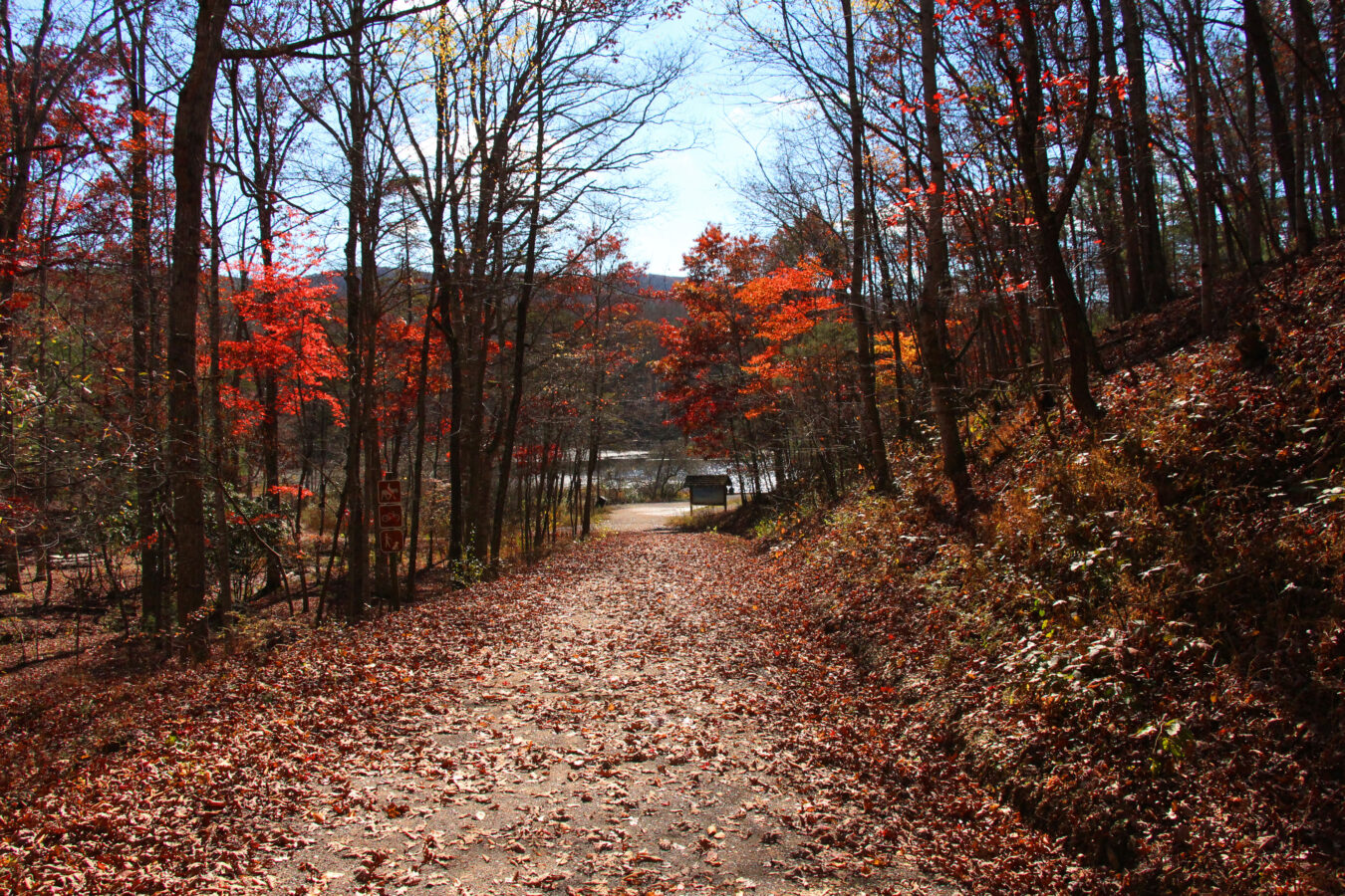 Autumn Drives & Trails