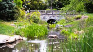 A scenic photo of a bridge over a stream at Hahn Horticulture Garden